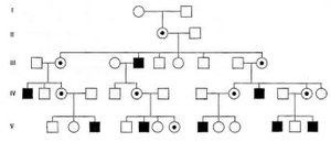 Pedigree chart with multiple generations