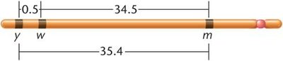 Chromosome map of three genes on the Drosophila X chromosome