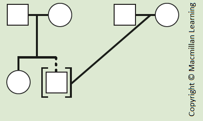 Pedigree with bracketed individual