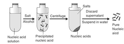 Nucleic acid purification steps