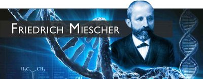Friedrich Miescher and DNA