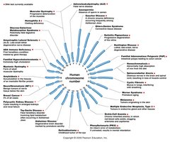 Human chromosome map with genetic disorders