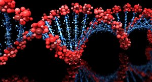 DNA sequencing and bioinformatics