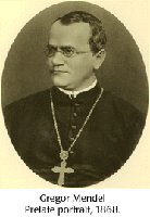 Historical figure in genetics