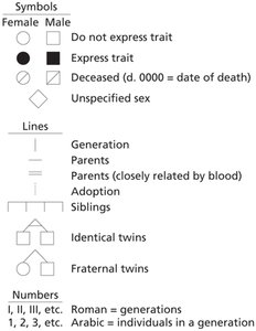 Pedigree symbols and notation