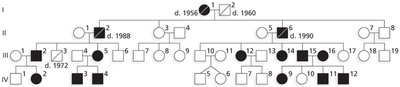 Autosomal dominant pedigree
