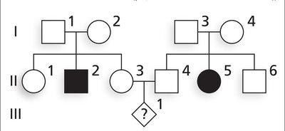 Pedigree problem: carrier probability answer