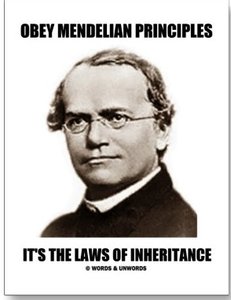 Mendelian principles meme
