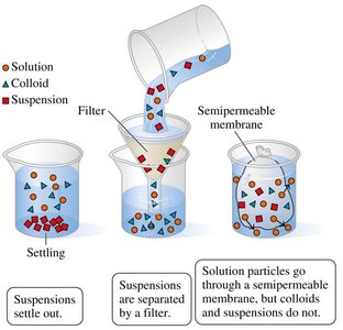 Comparison of solutions, colloids, and suspensions
