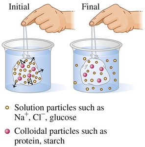 Dialysis process separating solute particles