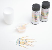 Dipstick for urine specific gravity