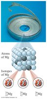 Isotopes of magnesium