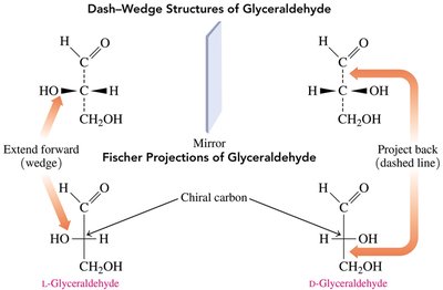 Fischer projection of glyceraldehyde