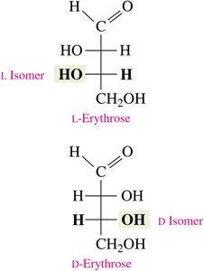 D and L isomers of erythrose