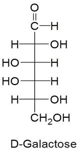 Fischer projection of D-galactose