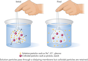 Diagram of dialysis showing separation of small and large particles