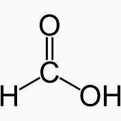 Structure of formic acid