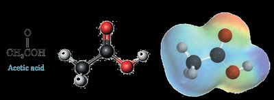 Acetic acid molecular models