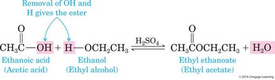 Fischer esterification reaction