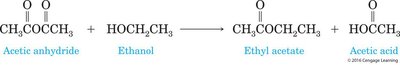 Ester formation from anhydride and alcohol