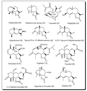 Structures of natural product lactones
