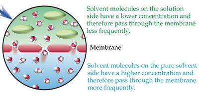 Red blood cells and osmotic pressure