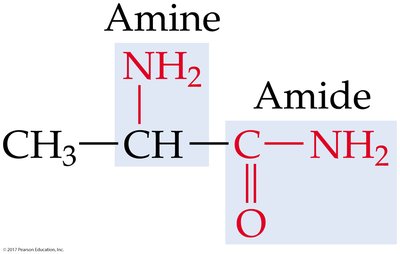 Amine and amide functional groups