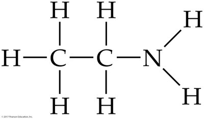 Amine structure example