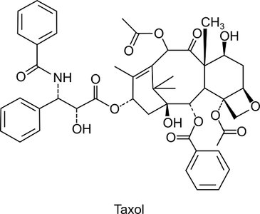 Taxol structure for functional group identification