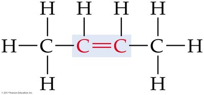 Alkene structure example