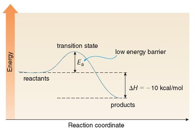 Exothermic reaction energy diagram