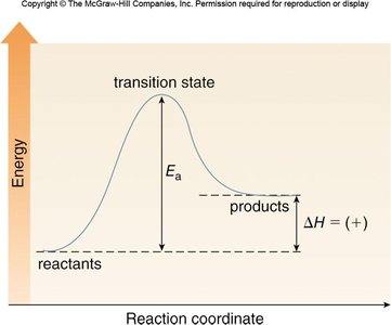 Endothermic reaction energy diagram