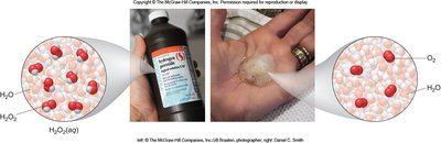 Decomposition of hydrogen peroxide