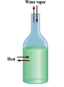 Open system with heat and water vapor exchange