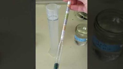 Hydrometer for measuring density