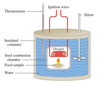 Bomb calorimeter for measuring food energy