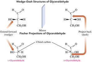 Fischer projections of glyceraldehyde