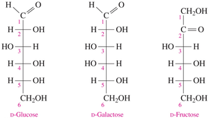 Fischer projections of D-glucose, D-galactose, D-fructose