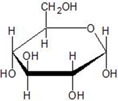 Haworth structure of glucose