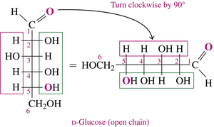 Rotation and folding of glucose structure