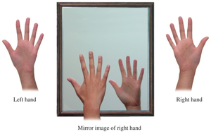 Hands as chiral objects