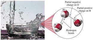 Water's polarity and hydrogen bonding