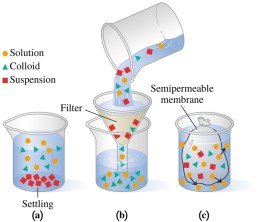 Comparison of solution, colloid, and suspension