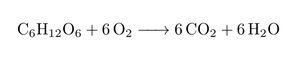 Equation for cellular respiration