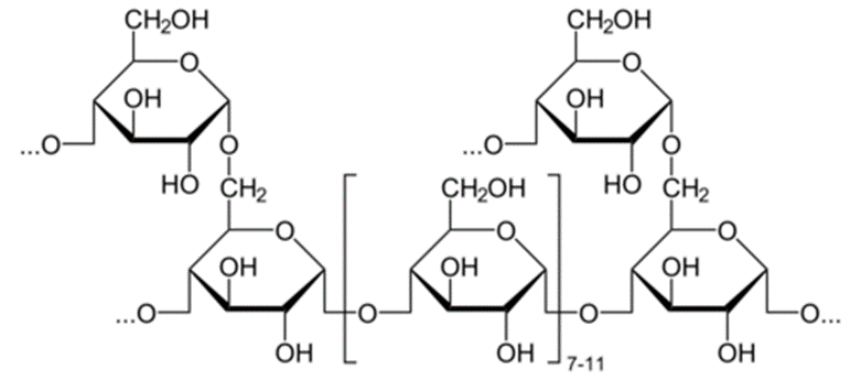 Structure of glycogen, a branched polysaccharide