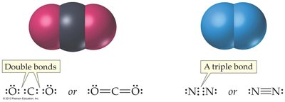 Double and triple bonds in CO2 and N2