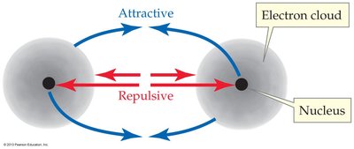 Attractive and repulsive forces in covalent bonding