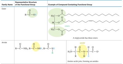 Table of functional groups and examples