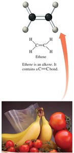 Ethene as an alkene