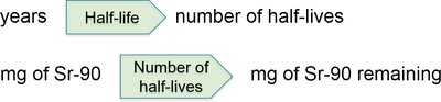 Half-life calculation plan for Sr-90